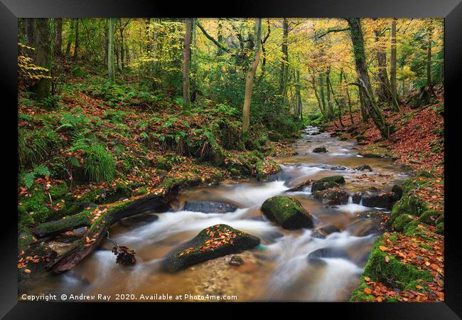 River in Nant Mill Wood Framed Print by Andrew Ray