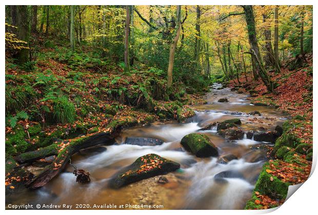 River in Nant Mill Wood Print by Andrew Ray