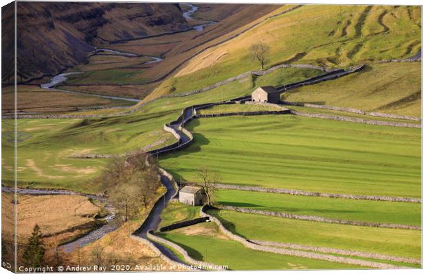 Arncliffe Barns Canvas Print by Andrew Ray