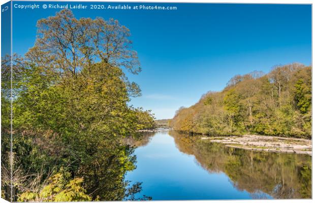 The River Tees at Wycliffe in Late April Sunshine Canvas Print by Richard Laidler