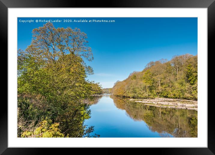 The River Tees at Wycliffe in Late April Sunshine Framed Mounted Print by Richard Laidler