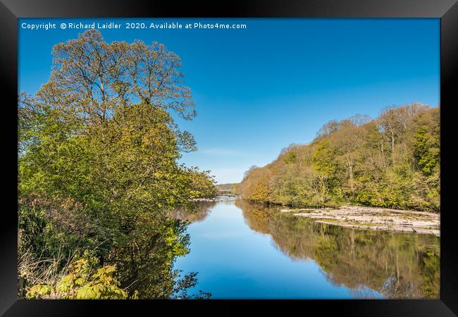 The River Tees at Wycliffe in Late April Sunshine Framed Print by Richard Laidler