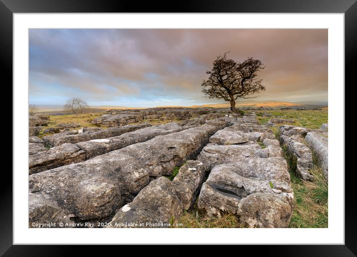 Winskill Stones at sunrise Framed Mounted Print by Andrew Ray
