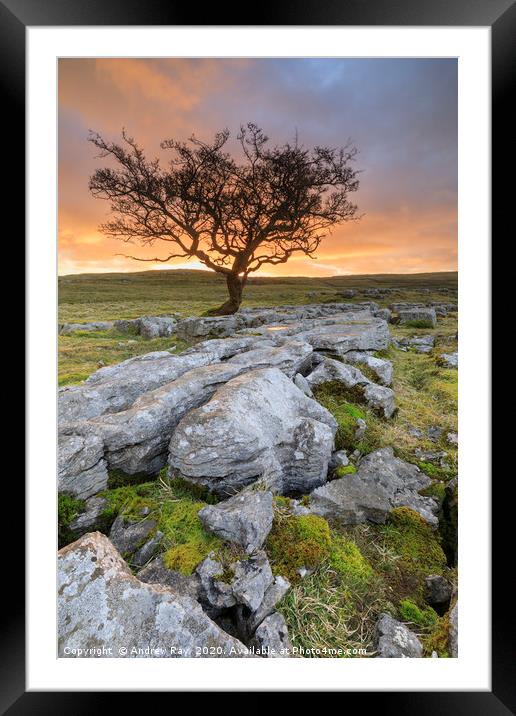 Winskill Stones sunrise Framed Mounted Print by Andrew Ray