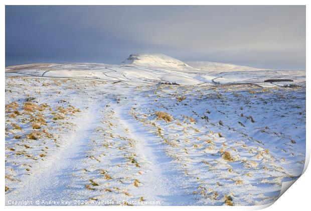Path towards Pen-y-ghent Print by Andrew Ray
