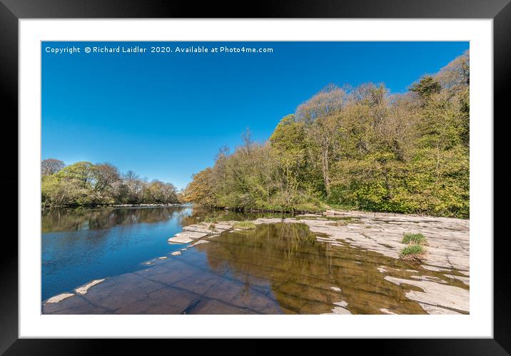River Tees North Side at Whorlton in Spring Sun Framed Mounted Print by Richard Laidler