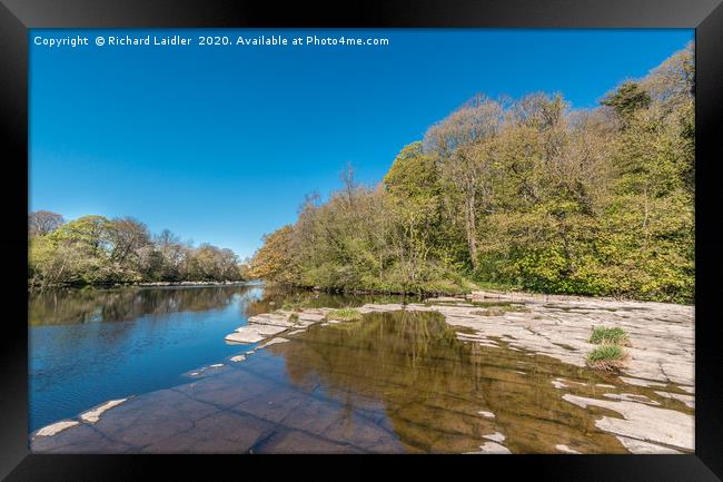 River Tees North Side at Whorlton in Spring Sun Framed Print by Richard Laidler