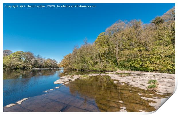 River Tees North Side at Whorlton in Spring Sun Print by Richard Laidler