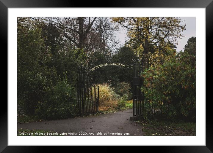 Botanical Gardens Framed Mounted Print by Eduardo Vieira