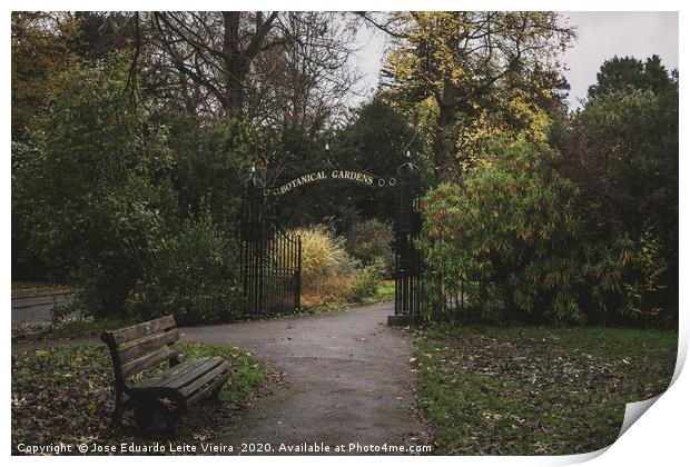 Botanical Gardens Print by Eduardo Vieira