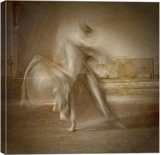 Movement and Dance Canvas Print by Caroline Claye