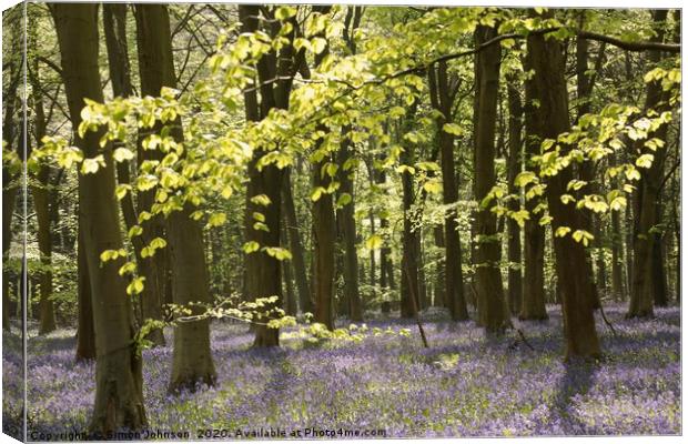 Bluebell Wood Canvas Print by Simon Johnson