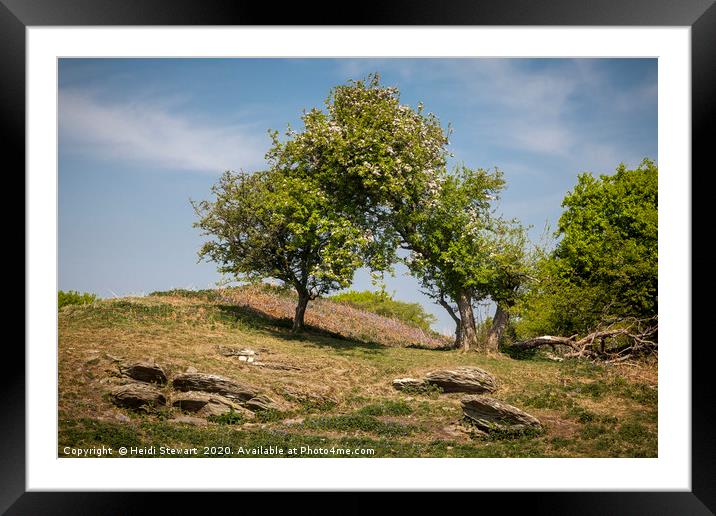 Trees on Top of the Hillfort Framed Mounted Print by Heidi Stewart
