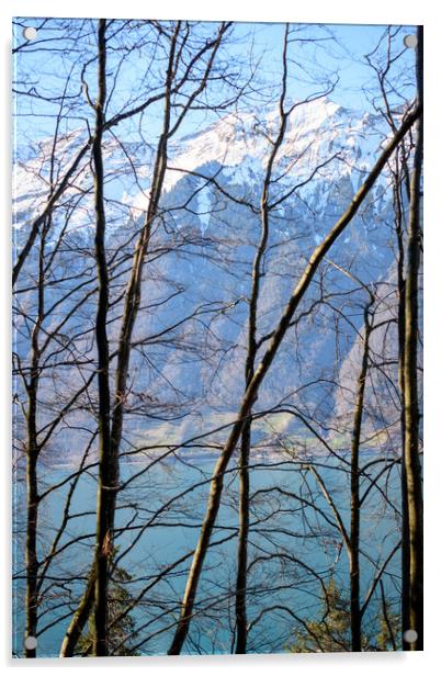 Brienz area of Switzerland Acrylic by Svetlana Sewell