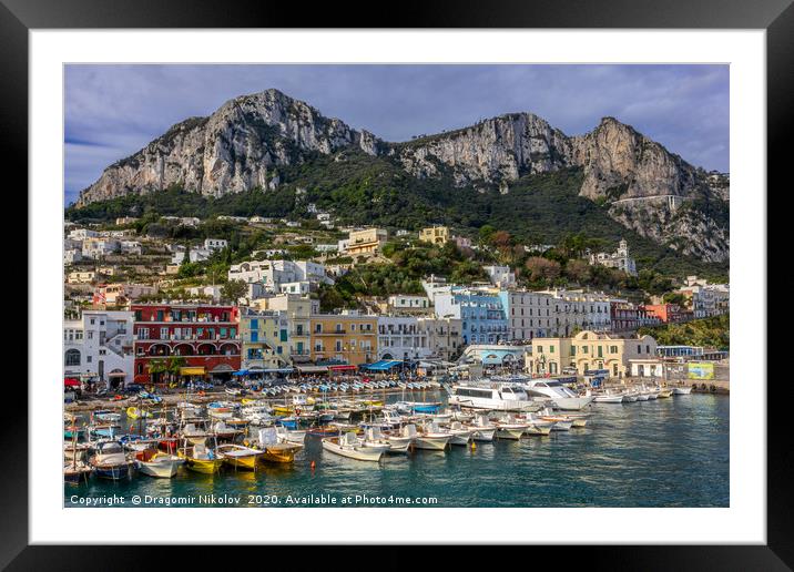 Colorful port of Capri island in Italy Framed Mounted Print by Dragomir Nikolov