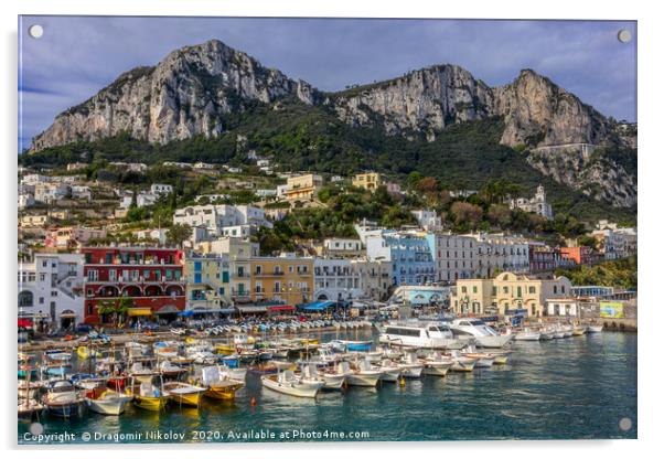 Colorful port of Capri island in Italy Acrylic by Dragomir Nikolov