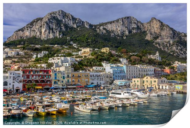 Colorful port of Capri island in Italy Print by Dragomir Nikolov