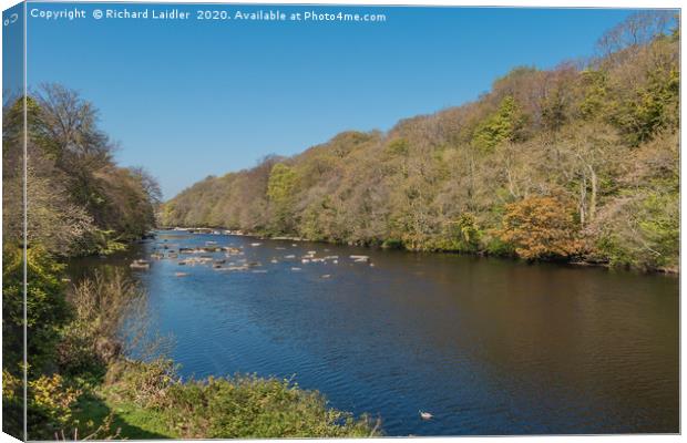 The River Tees from Boot and Shoe Cottage Wycliffe Canvas Print by Richard Laidler