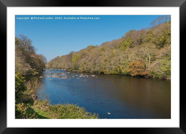 The River Tees from Boot and Shoe Cottage Wycliffe Framed Mounted Print by Richard Laidler