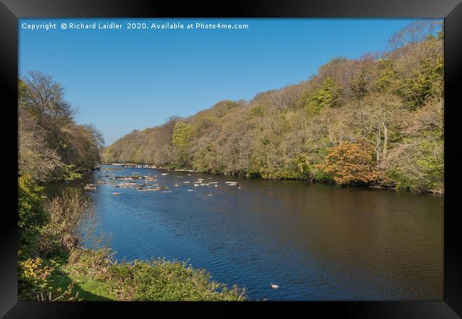 The River Tees from Boot and Shoe Cottage Wycliffe Framed Print by Richard Laidler