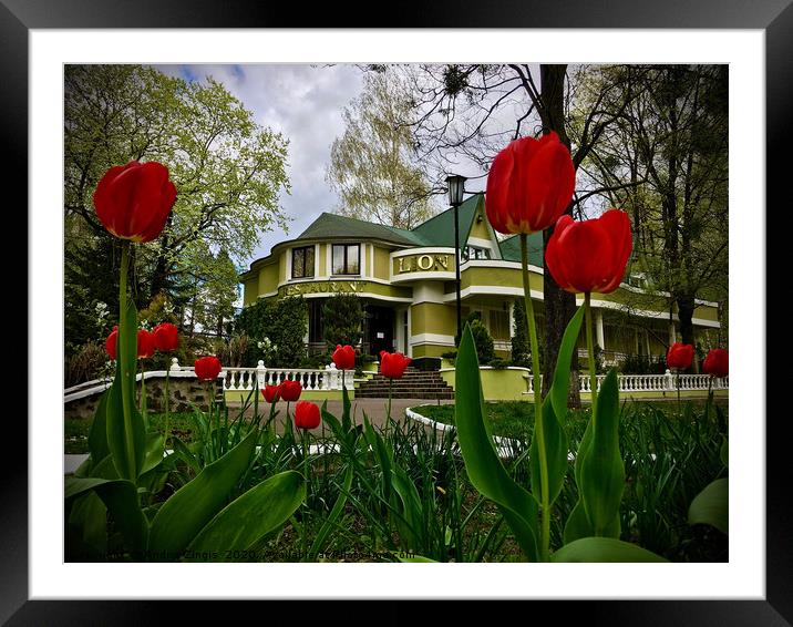 City, Rivne,Restaurant, Lion,Photography,Nature. Framed Mounted Print by Andris Zingis