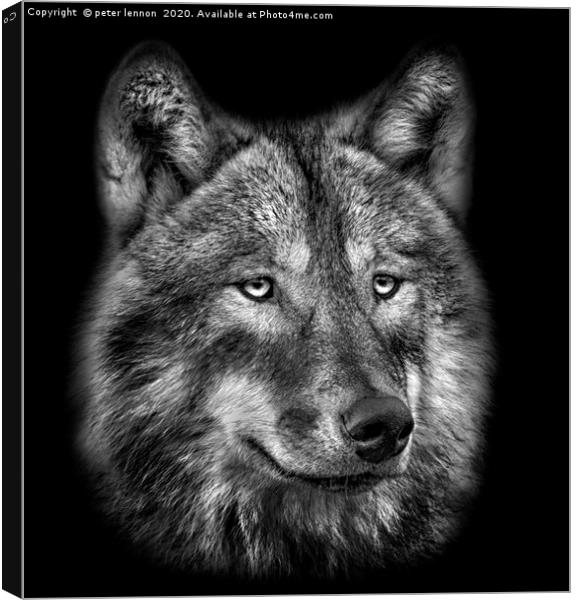 The Wolf Canvas Print by Peter Lennon