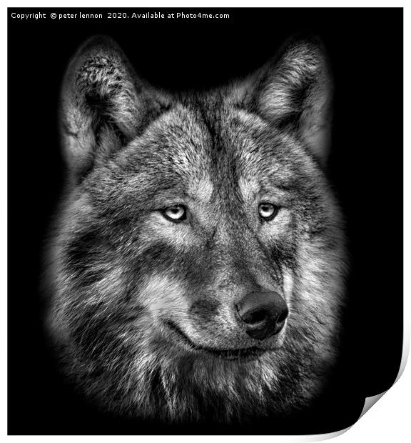 The Wolf Print by Peter Lennon