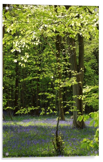 Spring Woodland and bluebells Acrylic by Simon Johnson