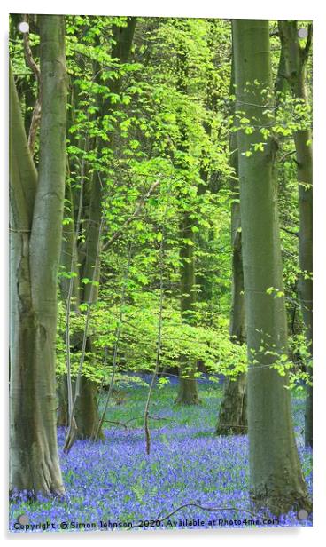 Bluebell woodland Acrylic by Simon Johnson