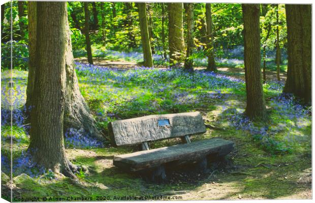 Newmillerdam Bluebell Seat Canvas Print by Alison Chambers