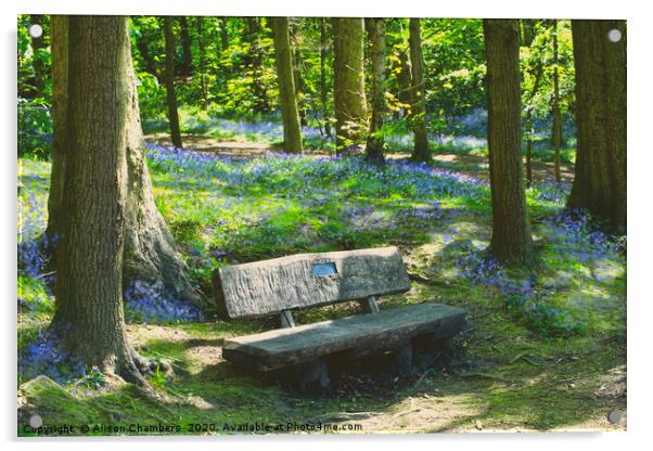 Newmillerdam Bluebell Seat Acrylic by Alison Chambers