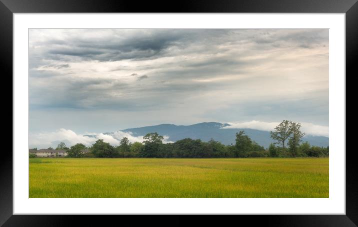 Morning Mountain Clouds Chiang Mai Thailand Framed Mounted Print by Rowan Edmonds