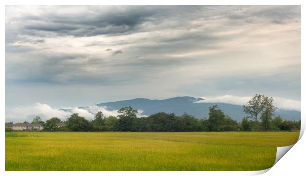 Morning Mountain Clouds Chiang Mai Thailand Print by Rowan Edmonds