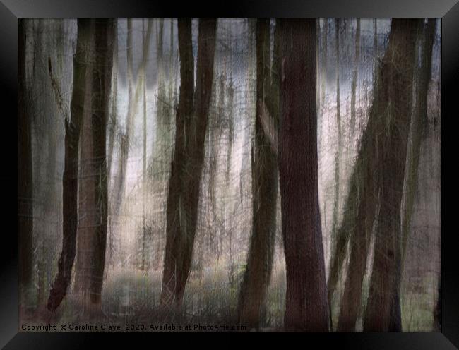 Trees Framed Print by Caroline Claye
