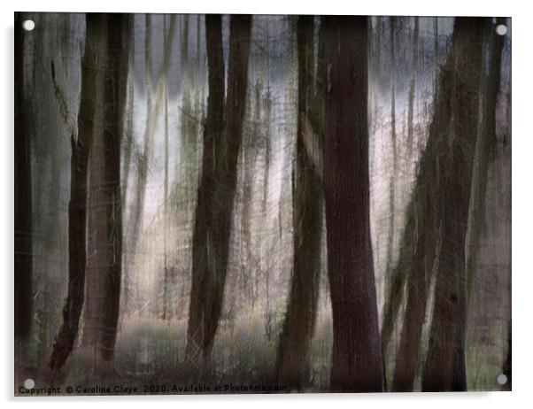 Trees Acrylic by Caroline Claye