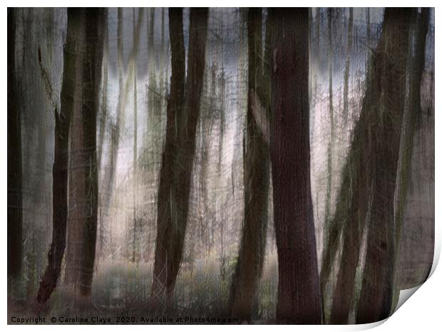 Trees Print by Caroline Claye