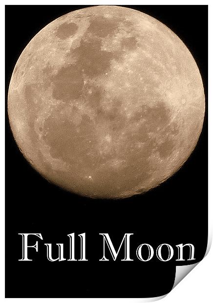 Full Moon Print by Louise Godwin