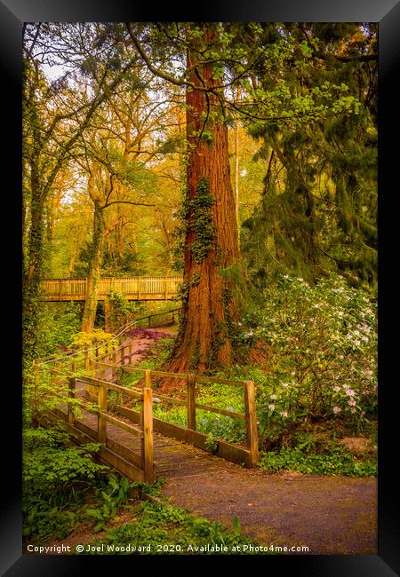 Walk Trails Rock Park Framed Print by Joel Woodward