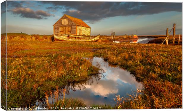 Early light at Thornham Harbour Norfolk Canvas Print by David Powley