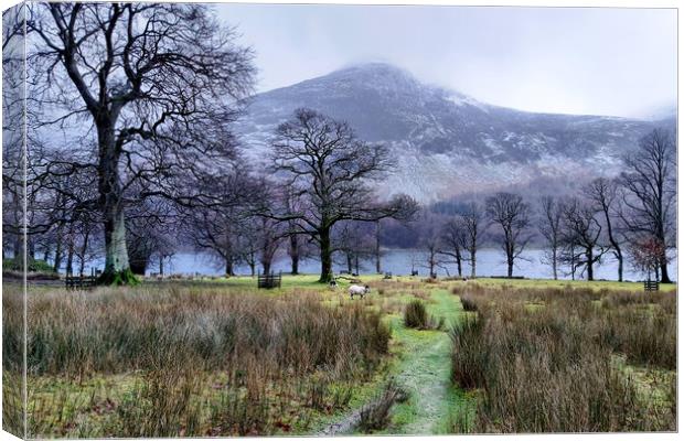 Frosty Buttermere Canvas Print by Sarah Couzens