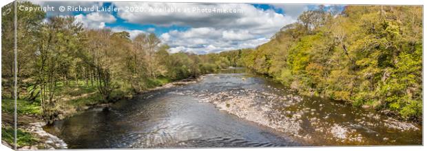 Spring Panorama on the River Tees at Whorlton  Canvas Print by Richard Laidler