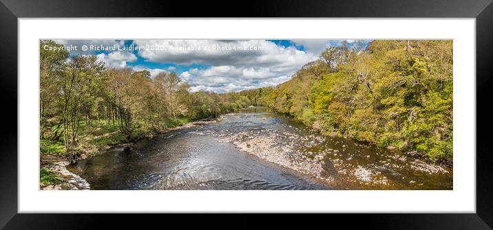 Spring Panorama on the River Tees at Whorlton  Framed Mounted Print by Richard Laidler