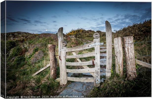 The Gate, Llandwyn Island Canvas Print by Heidi Stewart