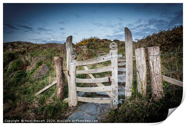 The Gate, Llandwyn Island Print by Heidi Stewart