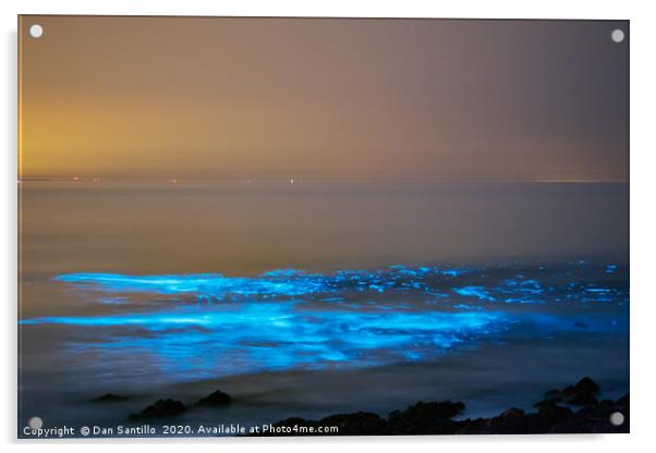 Bioluminescent plankton, Port Eynon Bay, Gower Acrylic by Dan Santillo