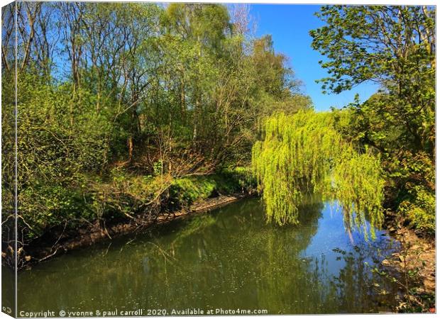Weeping willow on the river Kelvin Canvas Print by yvonne & paul carroll