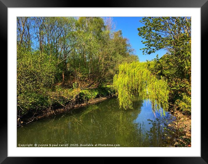 Weeping willow on the river Kelvin Framed Mounted Print by yvonne & paul carroll