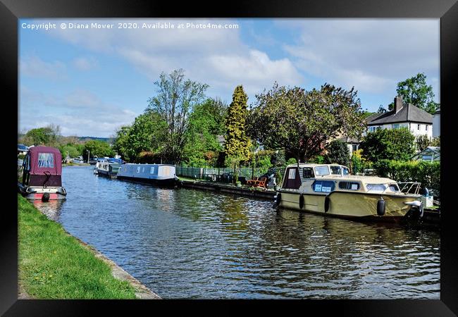 Leeds and Liverpool Canal Bingley Framed Print by Diana Mower
