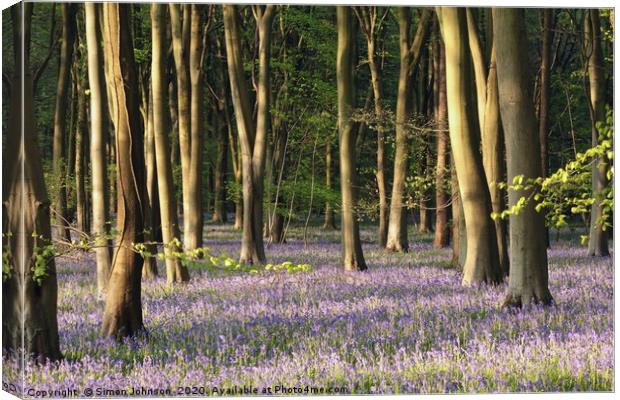 Bluebell Woodland Cotswolds Canvas Print by Simon Johnson