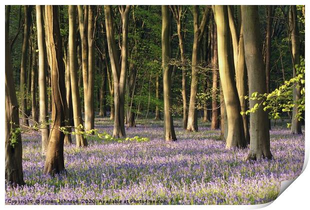 Bluebell Woodland Cotswolds Print by Simon Johnson